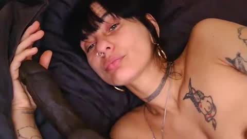 Snapshot of lola_midnight chatting on 11, 4, 2026 Lola Midnight online show from 11, 4, 2026
