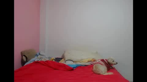 Snapshot of lolitabitchhorney_ chatting on 19, 5, 2026 Lolita online show from 19, 5, 2026