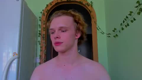 Snapshot of lolnoillimsary chatting on 15, 7, 2026 Nelis online show from 15, 7, 2026