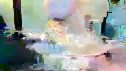 Long Dong91 online show from 3, 1, 2025