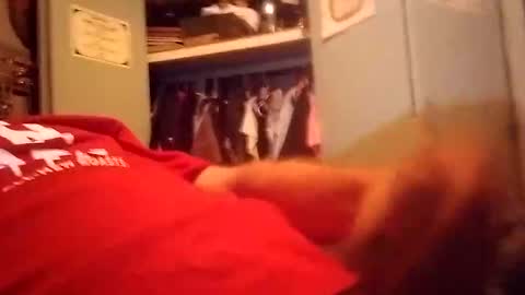 longdongsilverj online show from 8, 1, 2025