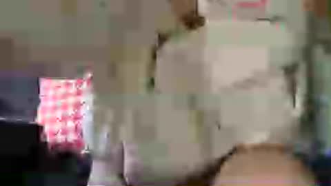 Snapshot of longlegstammy chatting on 27, 7, 2026 Cutenurse91 online show from 27, 7, 2026