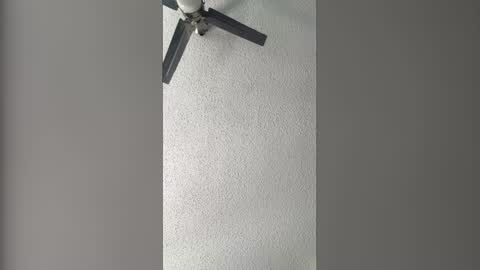 Dominate bbc online show from 3, 2, 2026