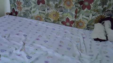 Snapshot of lora_amor chatting on 30, 4, 2026 lora_amor online show from 30, 4, 2026
