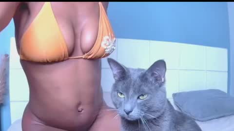 Blackcat online show from 30, 3, 2026