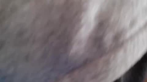 Snapshot of lordhealt chatting on 30, 4, 2026 lordhealt online show from 30, 4, 2026