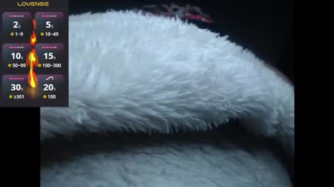 Snapshot of lorenitha_20 chatting on 27, 10, 2025 lorenitha online show from 27, 10, 2025