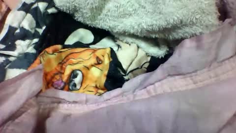 lovaelisa online show from 2, 11, 2025