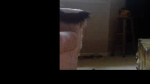 love69bush online show from 4, 2, 2026