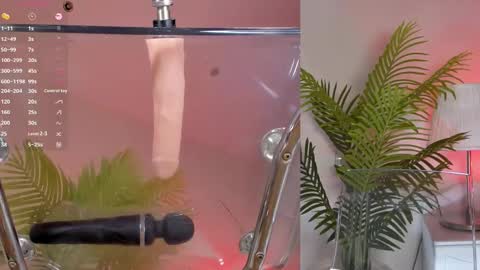 Shynie online show from 2, 3, 2025