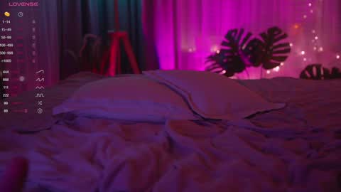 Nelly online show from 2, 12, 2024