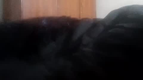 Snapshot of lovely_sweet_girl chatting on 1, 1, 2025 katrina follow me guys online show from 1, 1, 2025