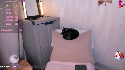 Danna online show from 3, 12, 2025