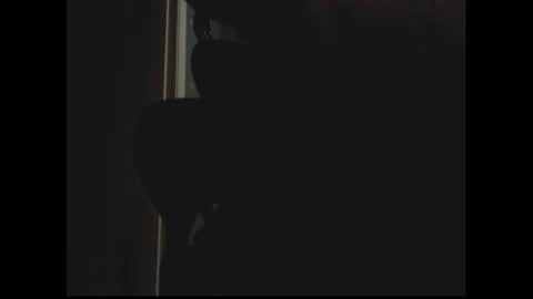 Snapshot of luchilove69 chatting on 29, 12, 2024 Luchi Luchano online show from 29, 12, 2024