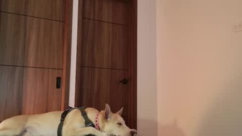 Snapshot of luci_fer15 chatting on 9, 9, 2025 Luci y Fer online show from 9, 9, 2025