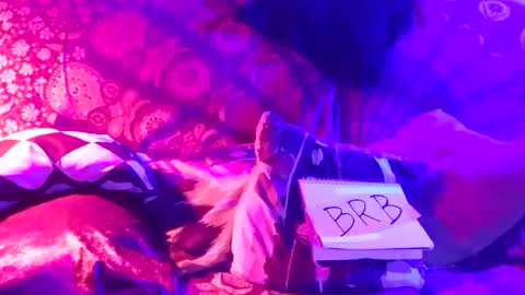 Snapshot of luckazy chatting on 4, 1, 2025 Lucky Eid Azy online show from 4, 1, 2025