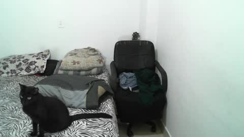 Snapshot of lucky_badboy chatting on 10, 1, 2025 Lucky online show from 10, 1, 2025