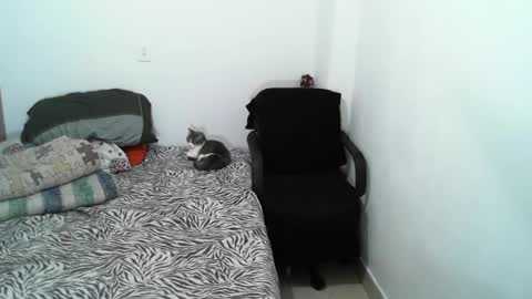 Snapshot of lucky_badboy chatting on 5, 2, 2025 Lucky online show from 5, 2, 2025