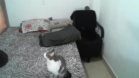 Snapshot of lucky_badboy chatting on 21, 2, 2025 Lucky online show from 21, 2, 2025