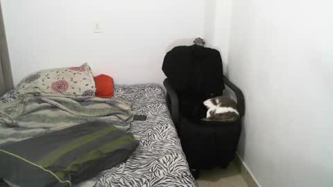 Snapshot of lucky_badboy chatting on 7, 3, 2025 Lucky online show from 7, 3, 2025