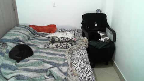 Snapshot of lucky_badboy chatting on 12, 3, 2025 Lucky online show from 12, 3, 2025