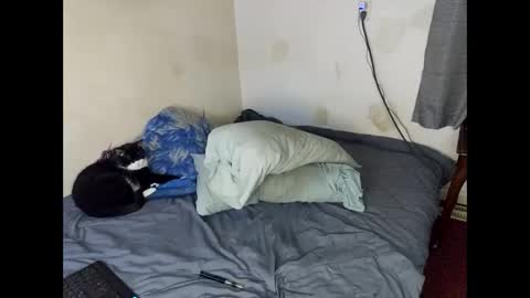 Snapshot of lukeandali23 chatting on 1, 2, 2025 Lukeandali420 online show from 1, 2, 2025