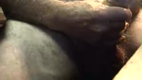 Snapshot of lukestarfckr chatting on 5, 10, 2025 lukestarfckr online show from 5, 10, 2025