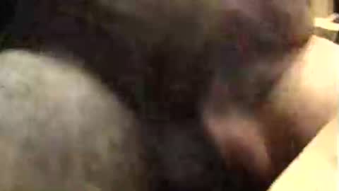 Snapshot of lukestarfckr chatting on 9, 10, 2025 lukestarfckr online show from 9, 10, 2025