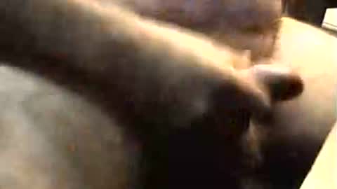 Snapshot of lukestarfckr chatting on 2, 11, 2025 lukestarfckr online show from 2, 11, 2025