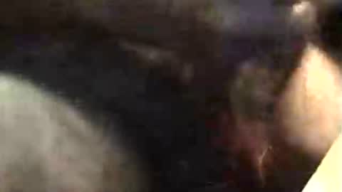 Snapshot of lukestarfckr chatting on 18, 11, 2025 lukestarfckr online show from 18, 11, 2025