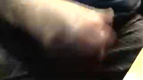 Snapshot of lukestarfckr chatting on 23, 11, 2025 lukestarfckr online show from 23, 11, 2025