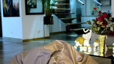 Lukhas f4f online show from 20, 1, 2025