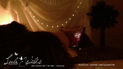 Snapshot of lulawilds chatting on 11, 7, 2026 lula wilds online show from 11, 7, 2026