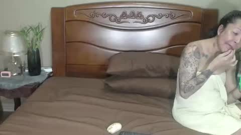 lulu_wild online show from 31, 3, 2026