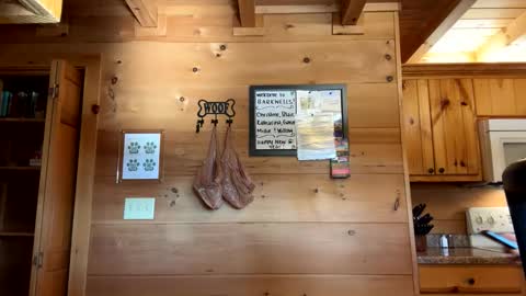 Connie online show from 2, 1, 2025