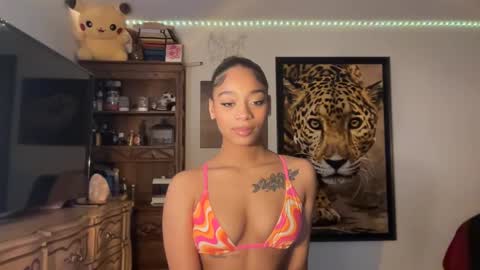 Snapshot of lunaa_11 chatting on 12, 12, 2024 lunaa_11 online show from 12, 12, 2024