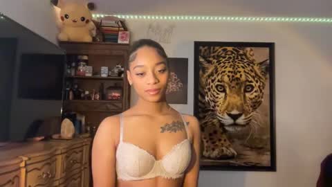 Snapshot of lunaa_11 chatting on 13, 12, 2024 lunaa_11 online show from 13, 12, 2024