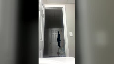 lunamoth00 online show from 15, 12, 2025