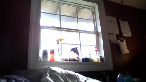 Snapshot of lunasecretadmirer chatting on 14, 2, 2026 lunasecretadmirer online show from 14, 2, 2026