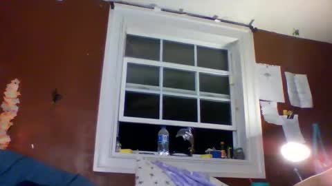 Snapshot of lunasecretadmirer chatting on 1, 3, 2026 lunasecretadmirer online show from 1, 3, 2026