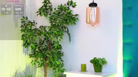 Snapshot of lunawills_ chatting on 26, 11, 2025 Luna online show from 26, 11, 2025