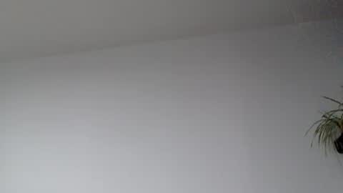 Lupine online show from 17, 9, 2025