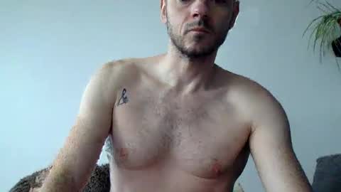 Lupine online show from 16, 10, 2025