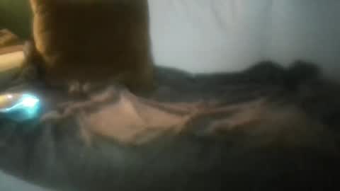 Snapshot of luvbigtits271 chatting on 1, 1, 2025 luvbigtits271 online show from 1, 1, 2025