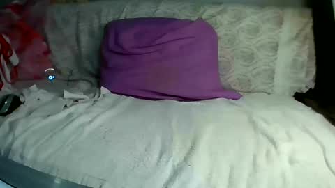 Bee Bee online show from 10, 3, 2025