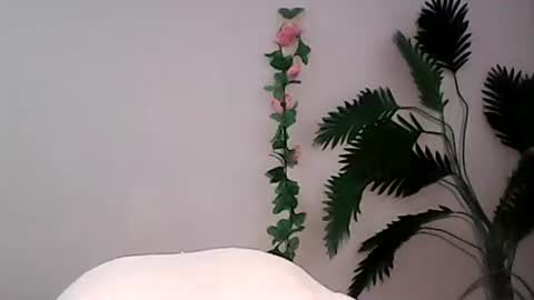 Bee Bee online show from 9, 9, 2025