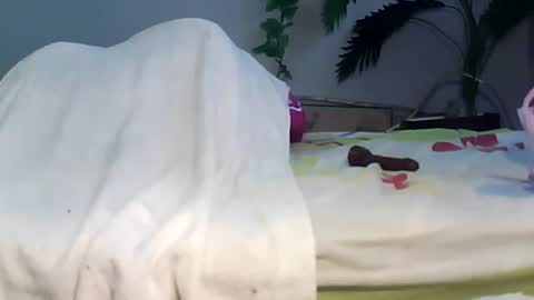 Bee Bee online show from 22, 9, 2025