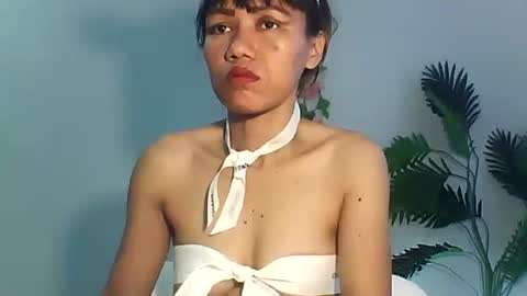 Bee Bee online show from 26, 9, 2025