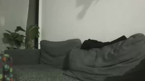 luzardol online show from 13, 11, 2025