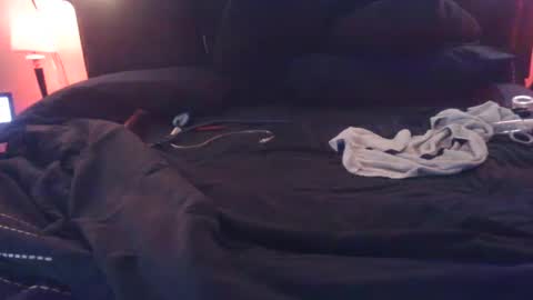 LV2BWCHD online show from 11, 12, 2024